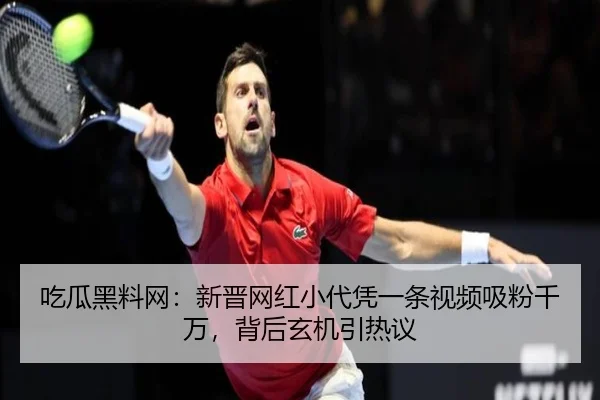 chi-gua-hei-liao-wang-xin-jin-wang-hong-xiao-dai-ping-yi-tiao-shi-pin-xi-fen-qian-wan-bei-hou-xuan-ji-yin-re-yi-2-864.jpg