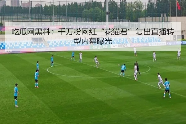 吃瓜网黑料：千万粉网红“花猫君”复出直播转型内幕曝光